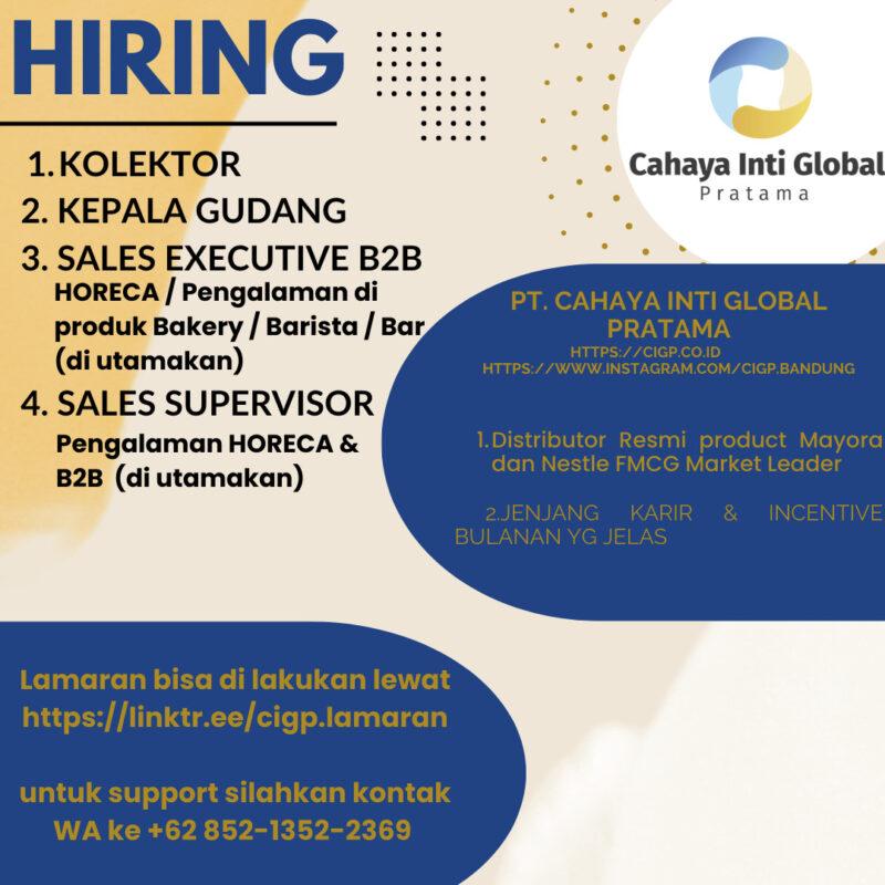 Lowongan Kerja Kolektor Kepala Gudang Sales Executive B2B Sales