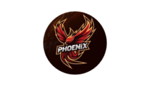 Lowongan Kerja Host Live di Phoenix Management - Bandung