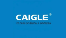 Lowongan Kerja Head Of Finance And Tax di PT. Caigle Chemicals Indonesia - Luar Bandung